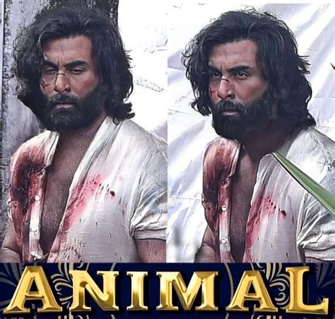 Ranbir as blood-stained Animal | cinejosh.com