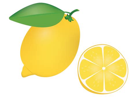 Clipart Realistic Lemon and Half of Lemon 4641947 Vector Art at Vecteezy