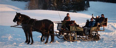 Horse Drawn Sleigh Ride in Styria | Panorama Tours