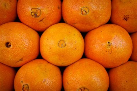 Oranges: Health Benefits, Nutritional Facts, and Juicing Recipes - Tastylicious