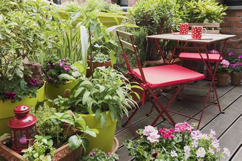 16 Great Low-Maintenance Outdoor Potted Plants