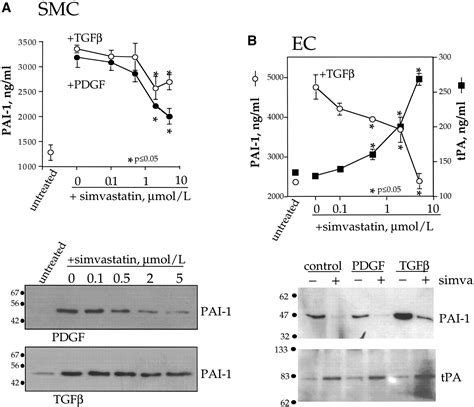 HMG CoA Reductase Inhibitors Reduce Plasminogen Activator Inhibitor-1 Expression by Human ...