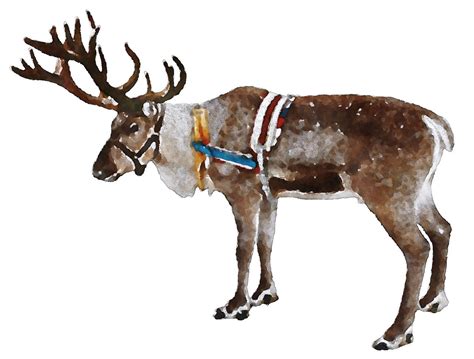 Download Reindeer, Christmas, Watercolor. Royalty-Free Stock ...