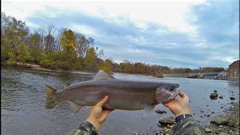 Berrien Springs Fishing 11/4/13 - YouTube