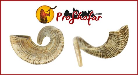 What is Jericho Shofar and how it related to Miracles in the Bible ...