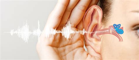 What You Need To Know About Hearing Loss - Signia Hearing Aids