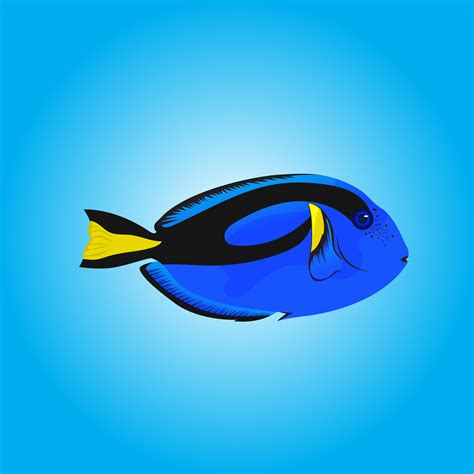 illustration dory fish for child's lesson or addition to coloring books ...