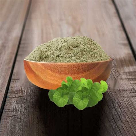 Brahmi (Bacopa)- Whole and Powder – Neo Natural Industries