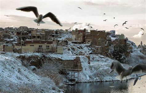 In Pictures: Rare snowfall delights Iraqis | Climate Crisis | Al Jazeera