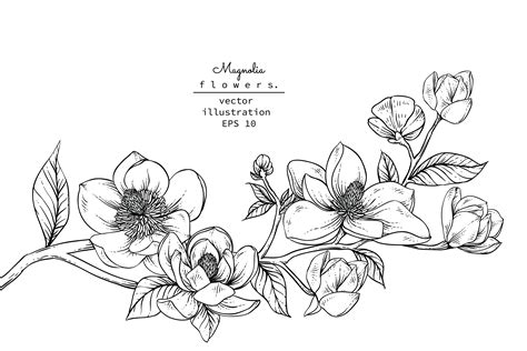 Flower Line Art SVG