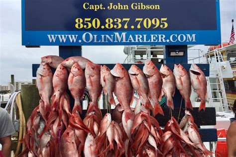 Fort Walton Beach Fishing Private Charter – Olin Marler Charter Boats