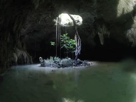 Visit a Mexican Cenote ~ Guide for Seniors