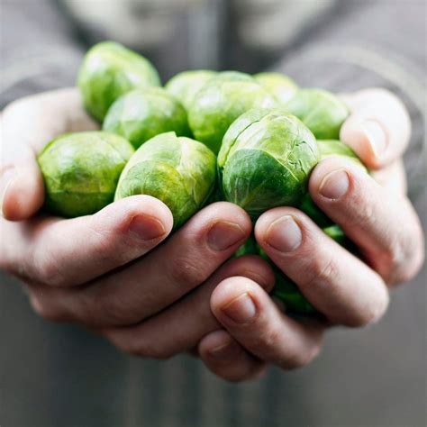 Health Benefits of Brussels Sprouts | Reader's Digest Canada