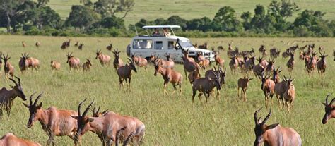 Exclusive Travel Tips for Your Destination Lake Elementaita in Kenya