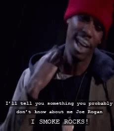 Tyrone Biggums Fear Factor