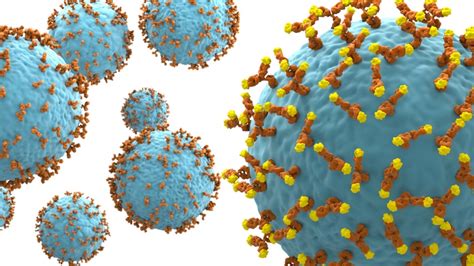 Collaboration to identify antibodies for cancer targets