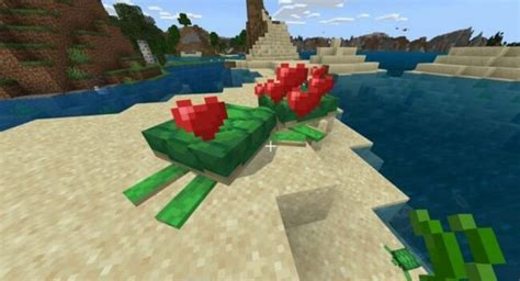 How to Breed Turtles in Minecraft - Touch, Tap, Play