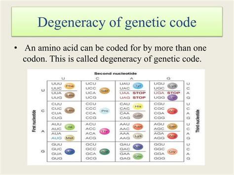 Genetic code ppt | PPT