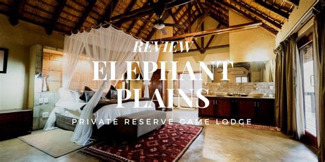 Elephant Plains Game Lodge Safari Review - Going Awesome Places