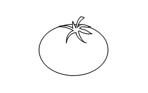 How to Draw a Tomato? | Step by Step Tomato Drawing for Kids