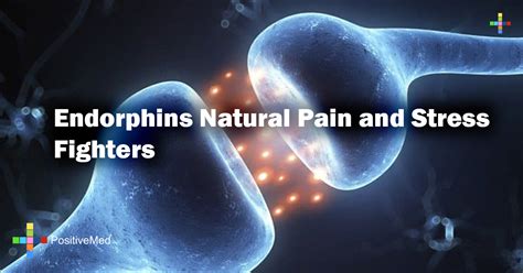 Understanding Endorphins Natural Pain and Stress Fighters