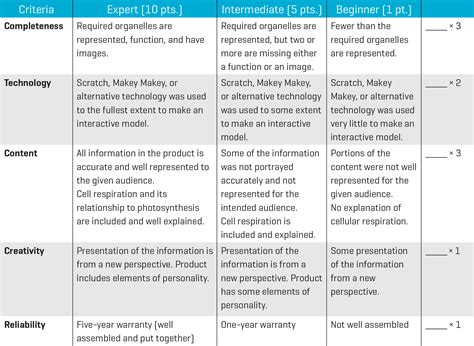 Example Of Rubrics In Performance Task