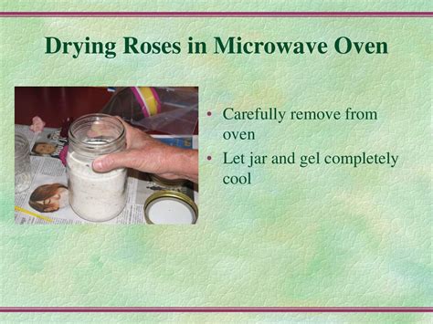 Drying Roses by Cindy Garrett - ppt download