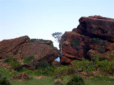 Socotra | Socotra, Natural landmarks, Landmarks