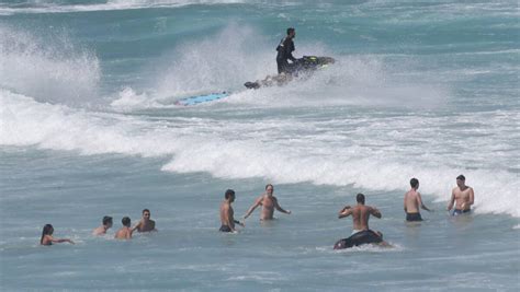 Bull Sharks Detected at Cronulla | St George & Sutherland Shire Leader ...