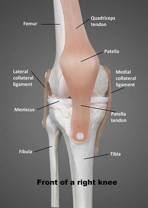 Singapore Surgeon Insights: Knee Replacement – Prof Lo | PhysioActive ...