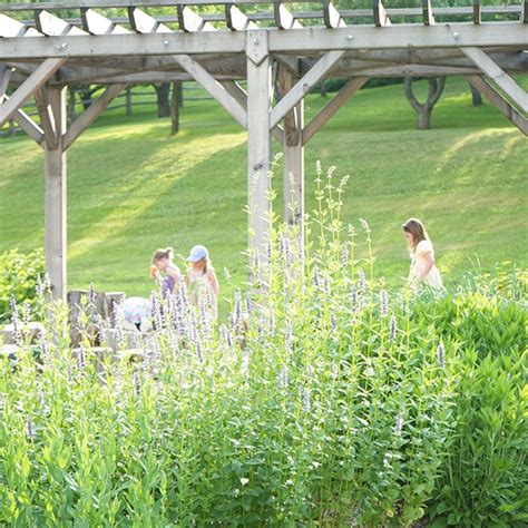 Community Day at Billings Farm & Museum - Billings Farm