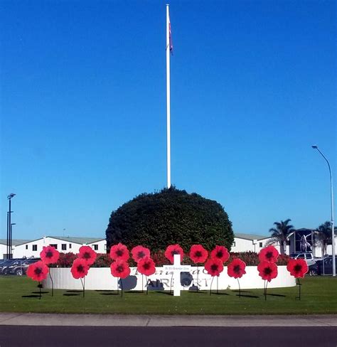 NZ Civil Aircraft: Tauranga airport