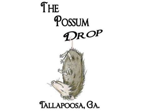 The Possum Drop | Official Georgia Tourism & Travel Website | Explore ...