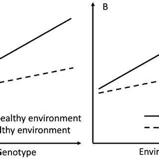 An example of gene-environment interaction. (A) The association between ...