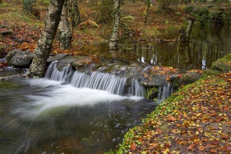 Chattahoochee National Forest Stock Photo - Image of autum, forest ...