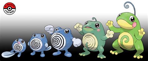 Poliwrath Evolution Chart