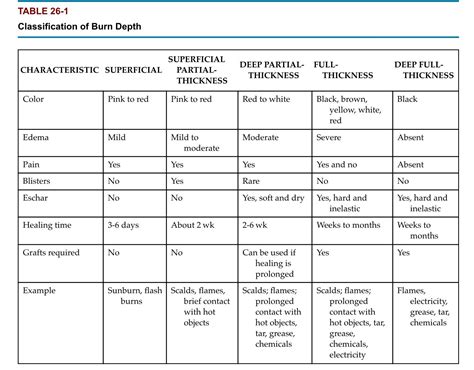 Burn Assessment Chart