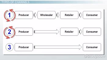 Distribution Channels in Marketing | Types & Examples - Lesson | Study.com