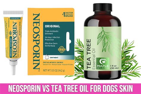 Neosporin vs Tea Tree Oil for Dogs: Benefits, Side Effects