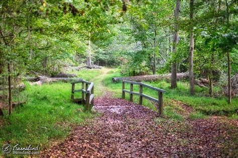 Walking Along the Sunken Road at Shiloh National Military Park - Burnsland