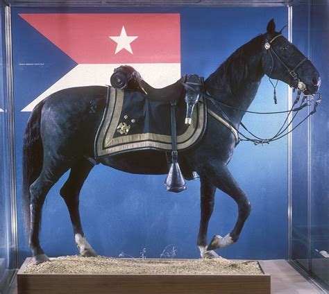 The "War Horse" of the Civil War | National Museum of American History