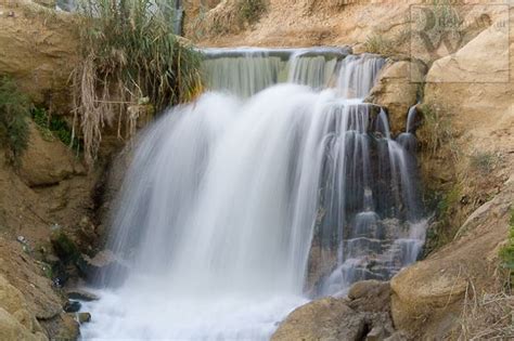 Day tour to Fayoum Oasis & Wadi Al Ryan | Travel egypt, Day tours ...