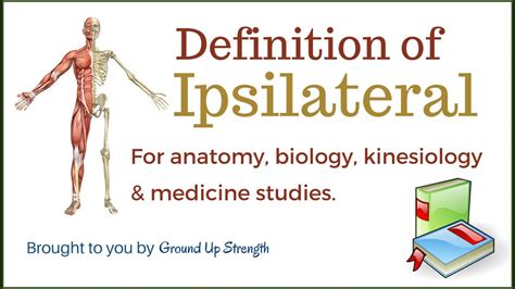 Ipsilateral Definition (Anatomy, Kinesiology, Medicine) - YouTube