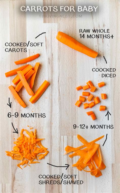 How To Cook Carrots For Baby - Thanks for a simple recipe! - Download ...