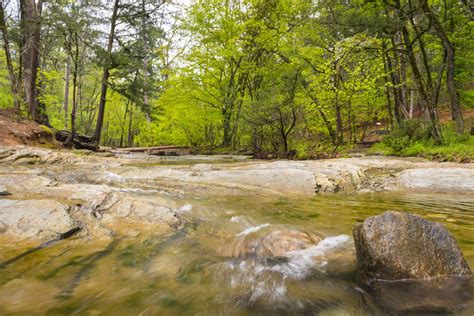 Four Quick Hikes Around the Beavers Bend | Beaver bend, Mccurtain county, Hiking