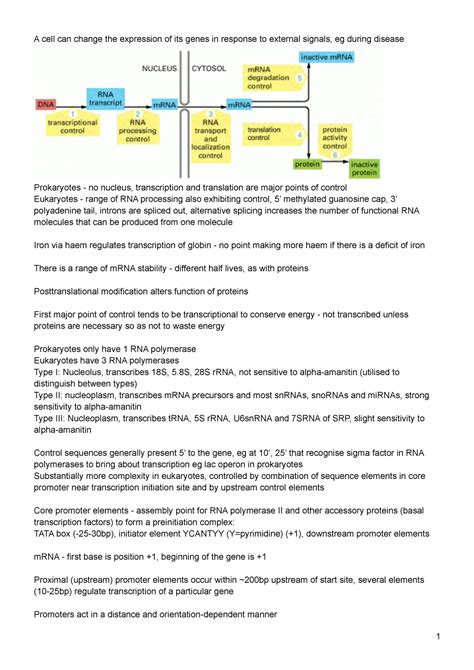 Eukaryotic Gene Expression - A cell can change the expression of its ...