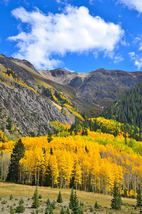 Red Mountain Pass Fall Colors Photograph by Ray Mathis - Fine Art America