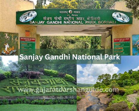 Sanjay Gandhi National Park Ticket Price, Timings, Contact Number, How To Reach - Gujarat ...