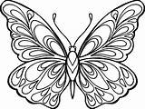 butterfly coloring Pages For adults Printable  Earlie Steel sketch template