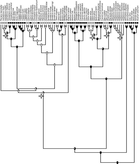 Figure 2.2 from The evolution of iridescent plumage in the Galliformes: Proximate mechanisms and ...